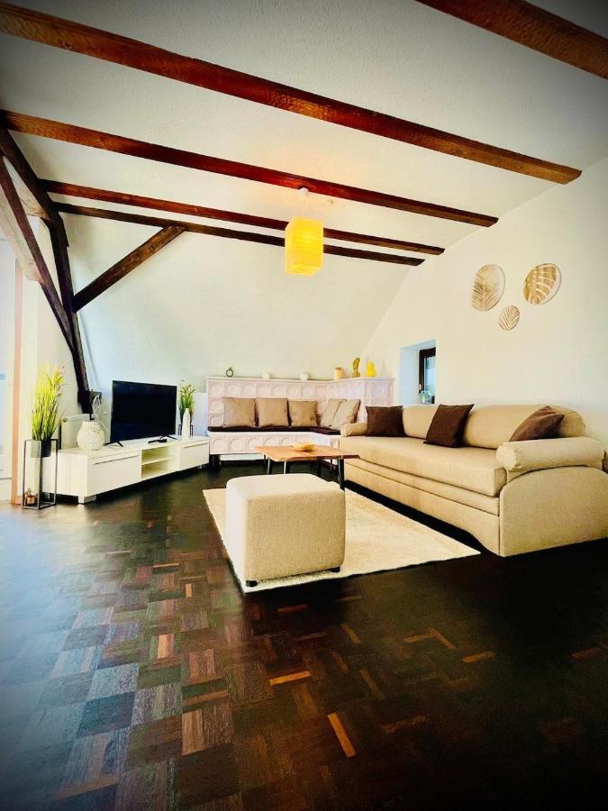 Chris & Aris Ferienwohnung Waldshut Zentrum Extérieur photo